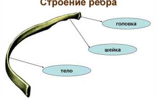 Самый опасный синдром при множественных переломах ребер